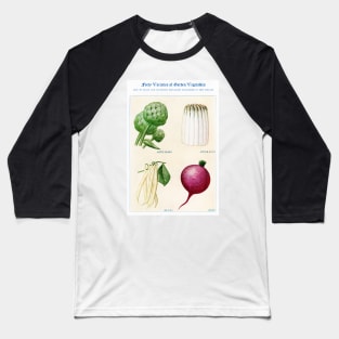 Garden Vegetable watercolor illustration (1915) Baseball T-Shirt